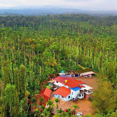 New Organic Home Stay Mudigere Esterno foto