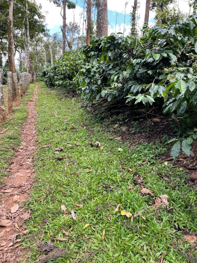 New Organic Home Stay Mudigere Esterno foto