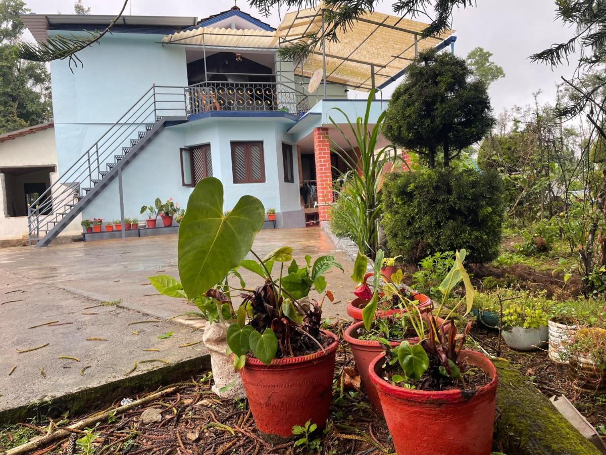 New Organic Home Stay Mudigere Esterno foto