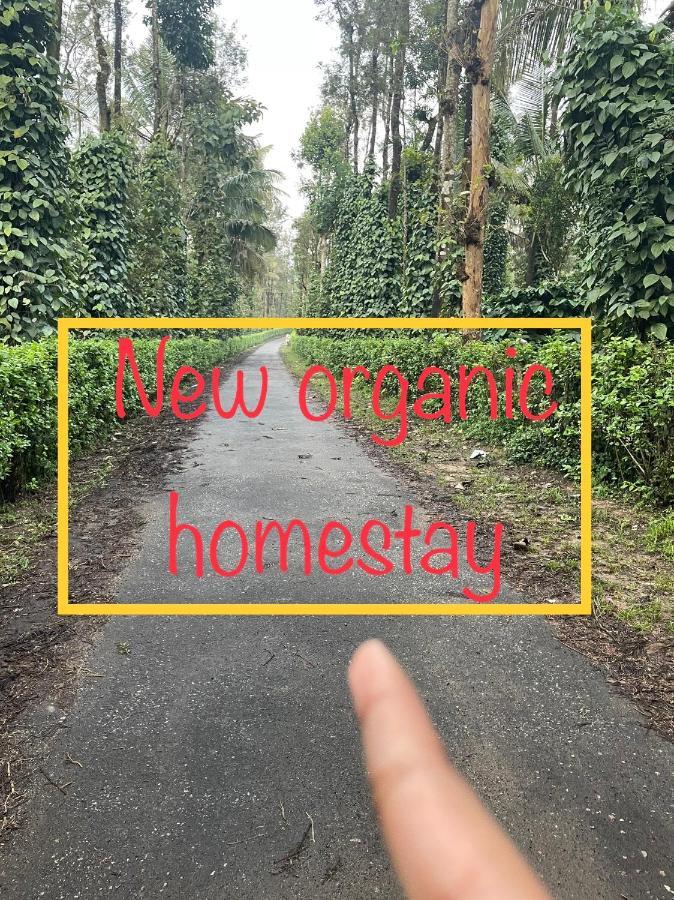 New Organic Home Stay Mudigere Esterno foto