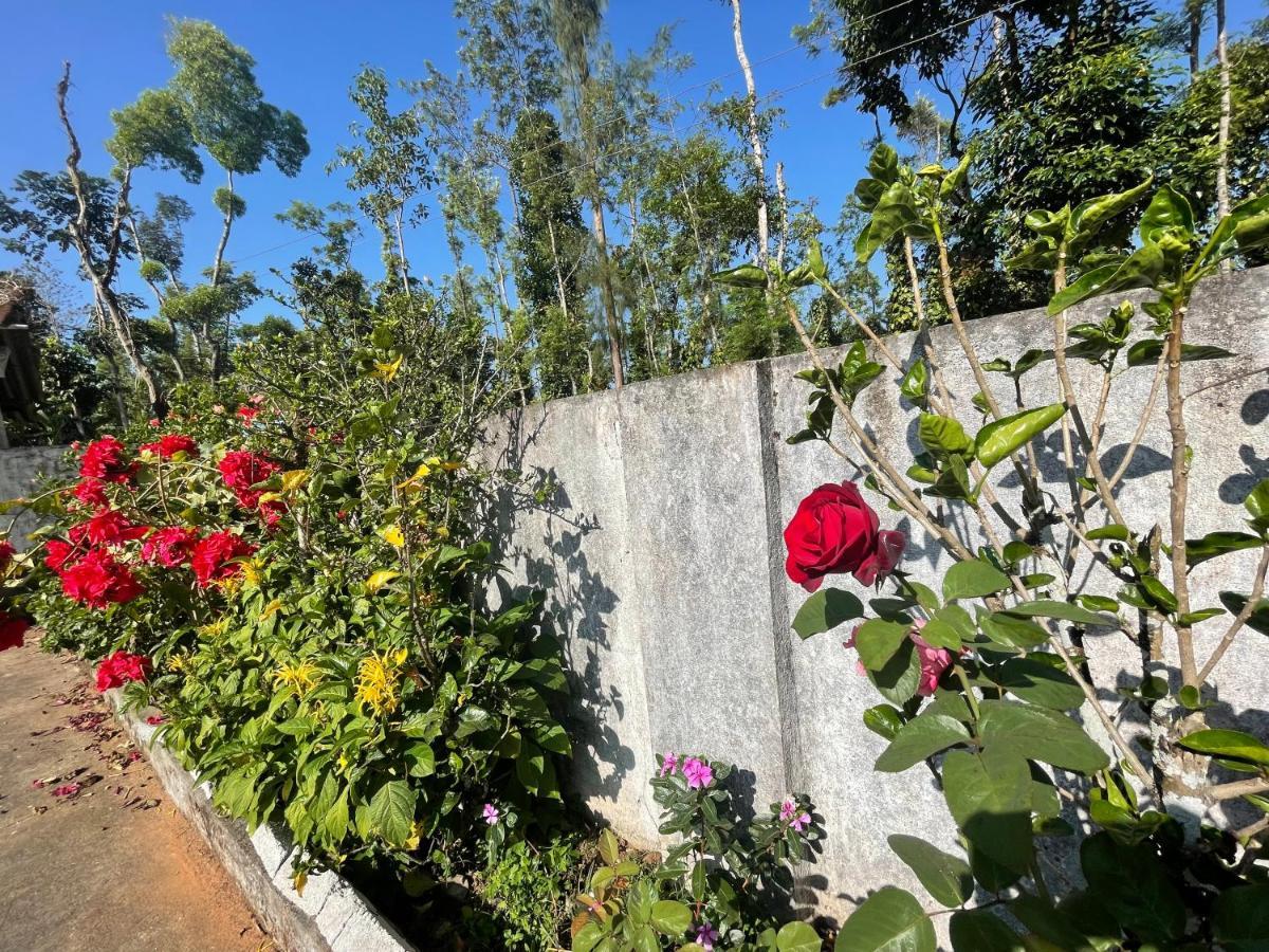 New Organic Home Stay Mudigere Esterno foto