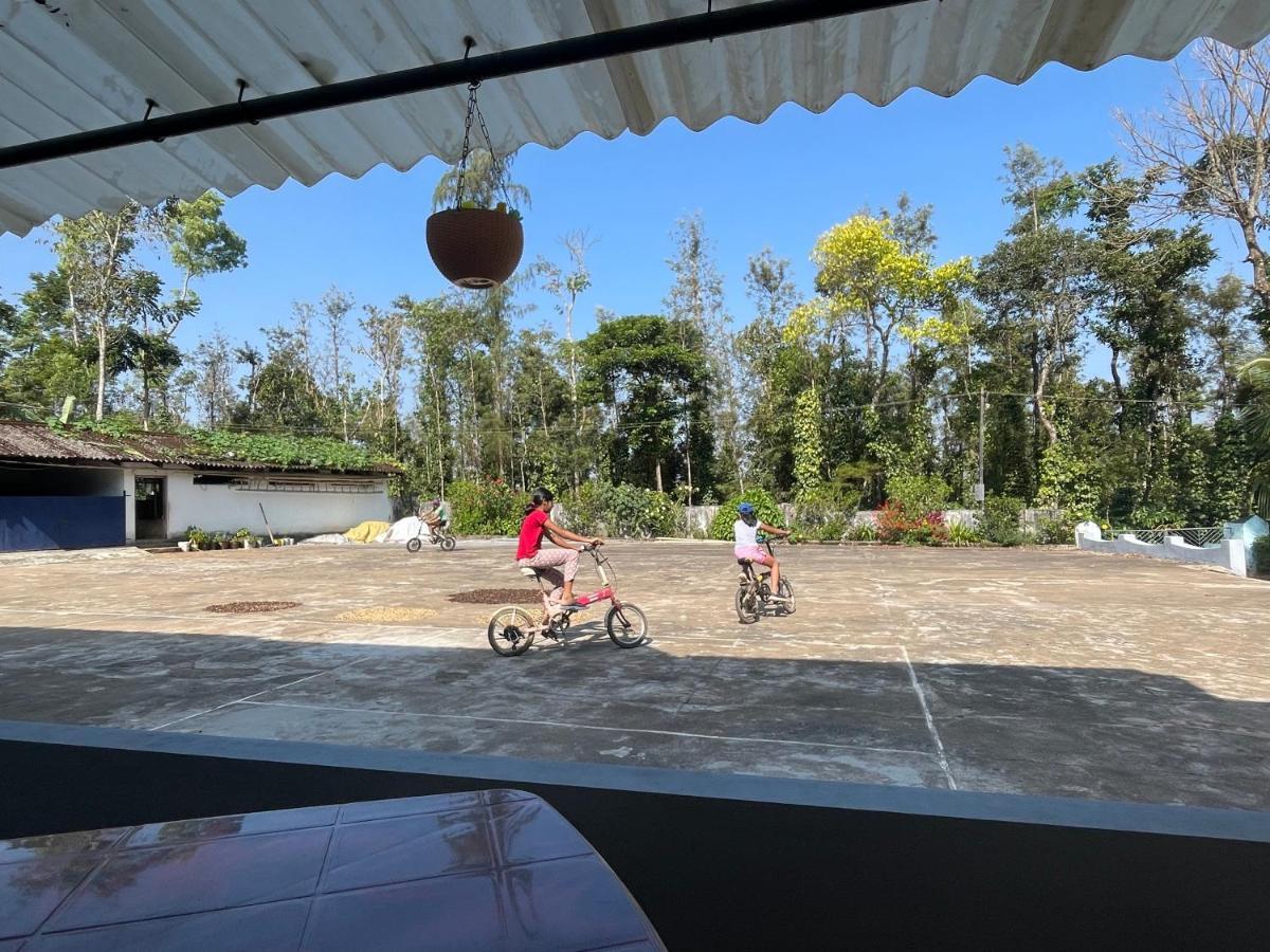 New Organic Home Stay Mudigere Esterno foto